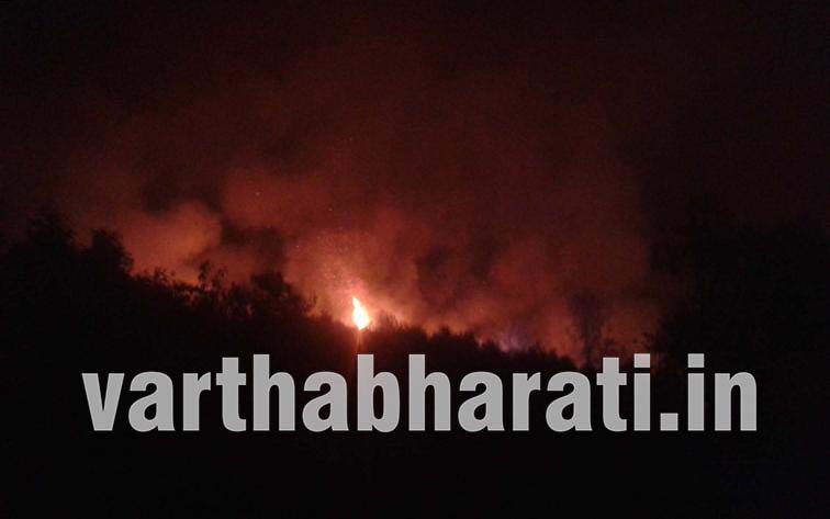 ವಿಟ್ಲ : ರಕ್ಷಿತಾರಣ್ಯವೊಂದಕ್ಕೆ ಆಕಸ್ಮಿಕವಾಗಿ ಬೆಂಕಿ